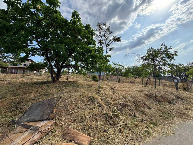 #427 - Área para Venda em Lagoa Santa - MG