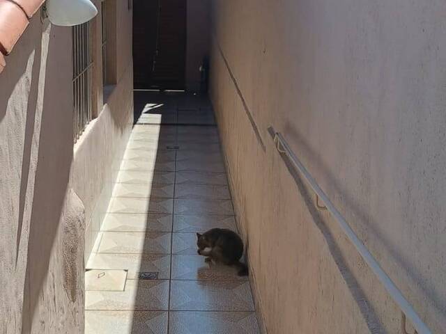 Casa para Venda em Belo Horizonte - 3